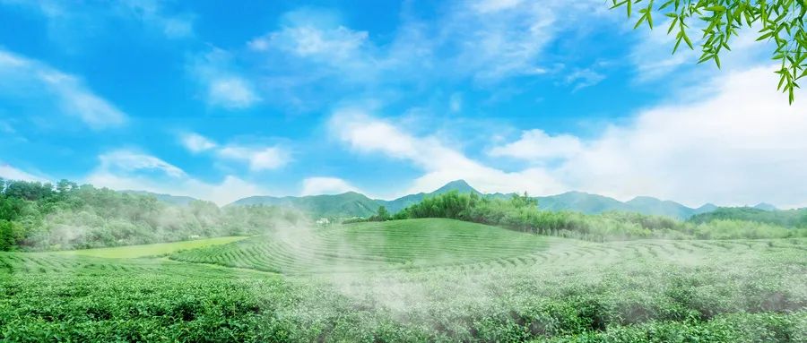 国家乡村振兴局定调：2023乡村振兴这么干！