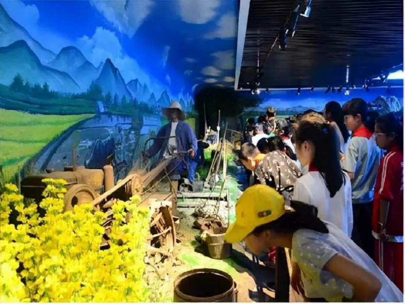 如何做乡村生态研学基地2734.png
