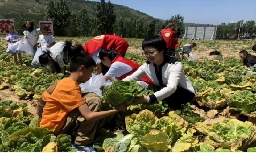 如何做乡村生态研学基地1686.png