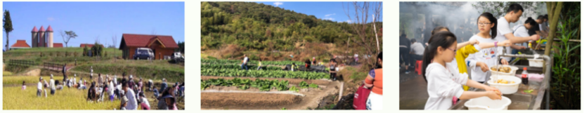 如何做乡村生态研学基地2074.png