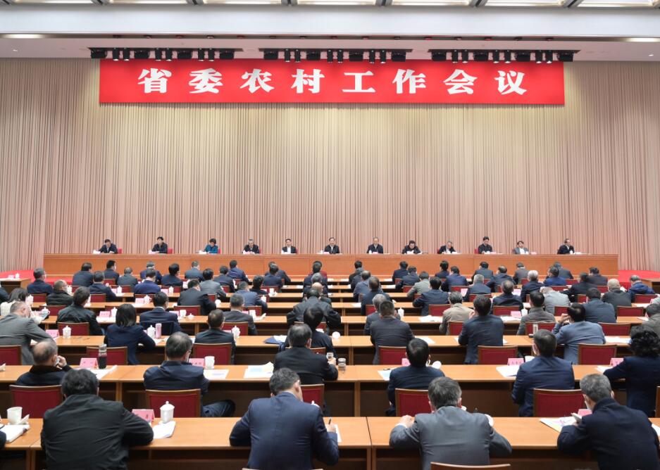 王晓晖在省委农村工作会议上强调
